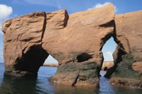 010309_0775_0248_nsls.jpg