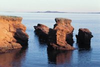 010309_0775_0246_nsls.jpg