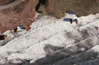 010309_0775_0241_nsls.jpg
