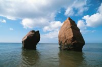 010309_0775_0240_nsls.jpg