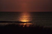 010309_0775_0239_nsls.jpg