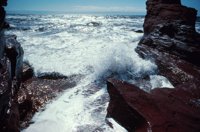 010309_0775_0238_nsls.jpg