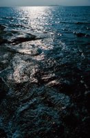 010309_0775_0236_nsls.jpg