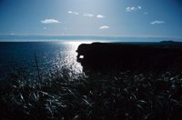 010309_0775_0212_nsls.jpg