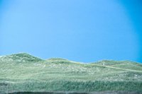 010309_0775_0208_nsls.jpg