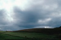 010309_0775_0202_nsls.jpg