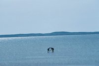 010309_0775_0200_nsls.jpg