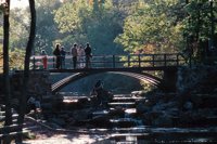010309_0775_0195_nsls.jpg