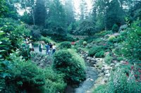 010309_0775_0190_nsls.jpg