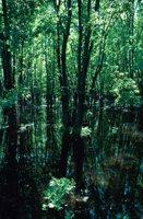 010309_0775_0178_nsls.jpg