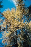 010309_0775_0173_nsls.jpg