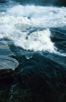 010309_0775_0169_nsls.jpg