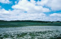 010309_0775_0154_nsls.jpg