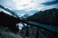 010309_0775_0150_nsls.jpg