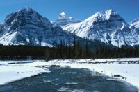 010309_0775_0148_nsls.jpg