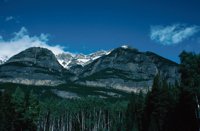 010309_0775_0147_nsls.jpg