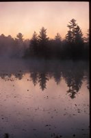 010309_0775_0141_nsls.jpg