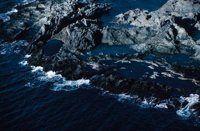 010309_0775_0139_nsls.jpg