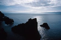 010309_0775_0136_nsls.jpg