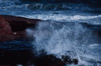 010309_0775_0120_nsls.jpg