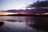 010309_0775_0102_nsls.jpg
