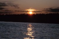 010309_0775_0089_nsls.jpg