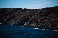 010309_0775_0084_nsls.jpg