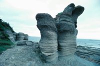 010309_0775_0079_nsls.jpg