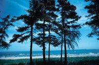 010309_0775_0067_nsls.jpg