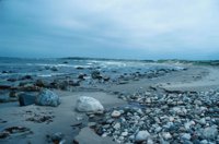 010309_0775_0066_nsls.jpg