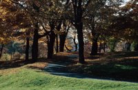 010309_0775_0064_nsls.jpg