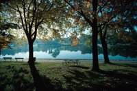 010309_0775_0061_nsls.jpg