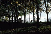 010309_0775_0060_nsls.jpg