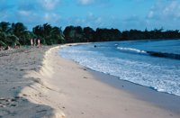 010309_0775_0059_nsls.jpg