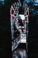 010309_0775_0053_nsls.jpg