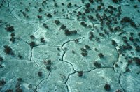 010309_0775_0048_nsls.jpg