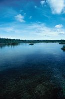 010309_0775_0047_nsls.jpg