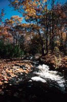010309_0775_0041_nsls.jpg