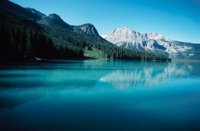 010309_0775_0040_nsls.jpg