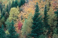 010309_0775_0038_nsls.jpg