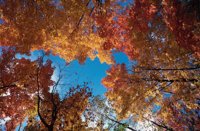 010309_0775_0035_nsls.jpg