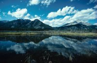 010309_0775_0033_nsls.jpg