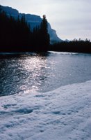010309_0775_0030_nsls.jpg
