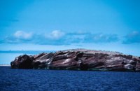 010309_0775_0023_nsls.jpg