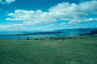 010309_0775_0011_nsls.jpg