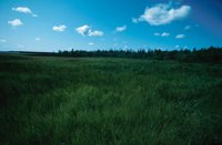 010309_0775_0010_nsls.jpg