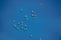010309_0775_0007_nsls.jpg