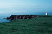 010309_0775_0006_nsls.jpg