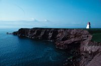 010309_0775_0005_nsls.jpg