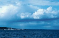 010309_0775_0003_nsls.jpg
